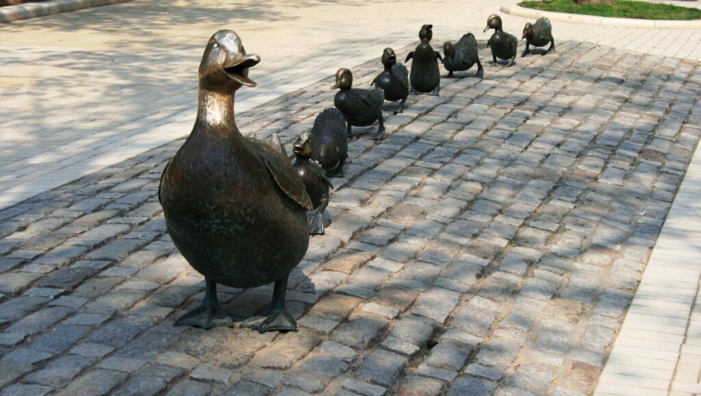 Ducks